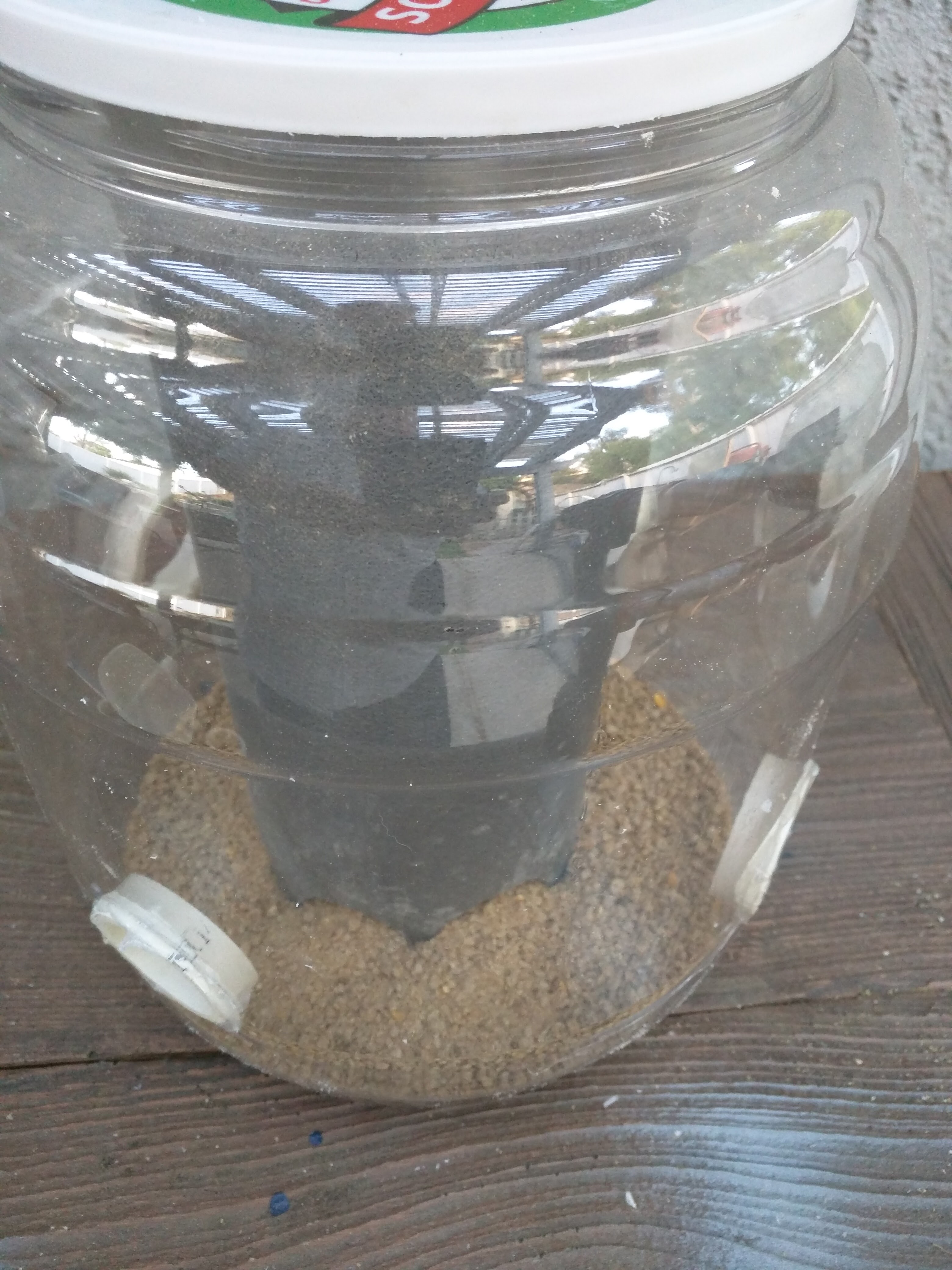 No Waste Quail Feeder 3 Steps (with Pictures) Instructables