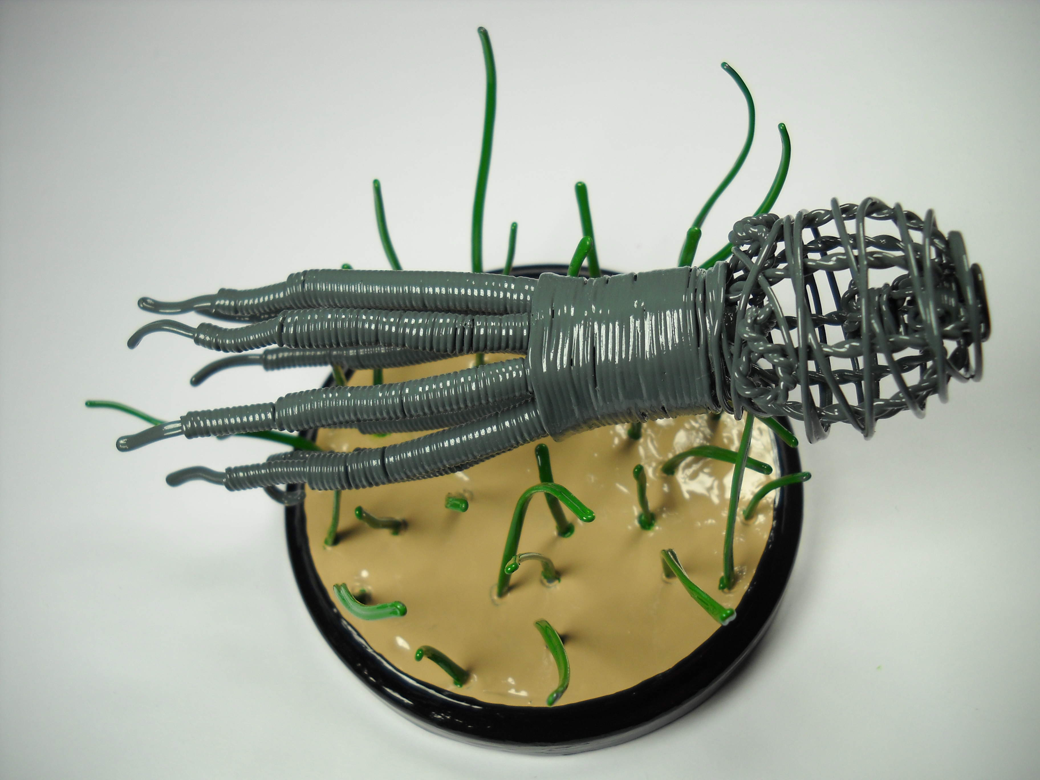 How to Make a Wire Octopus Sculpture (simplified). Cheap and Easy But