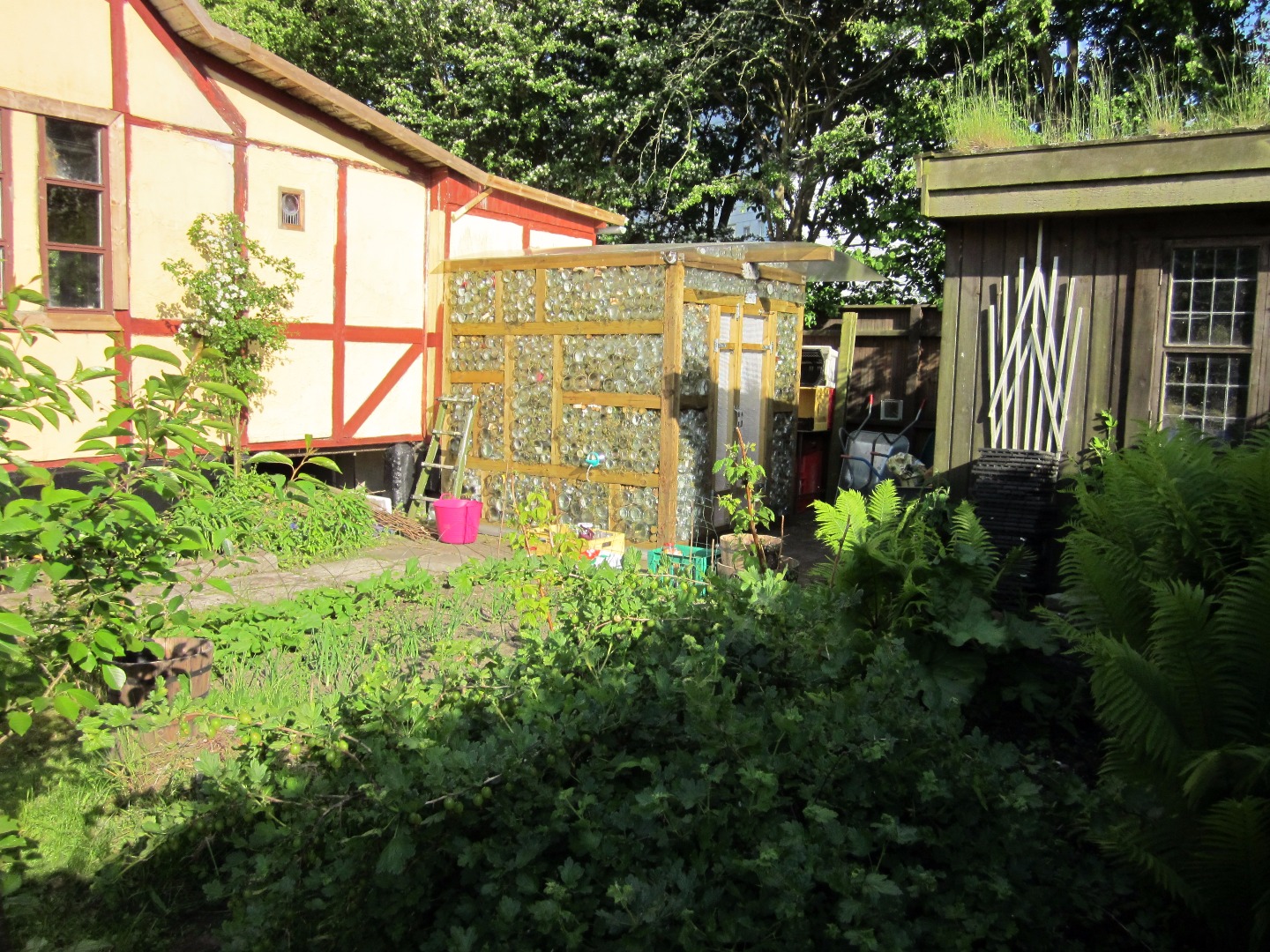 Glass Jar Greenhouse 5 Steps (with Pictures) Instructables