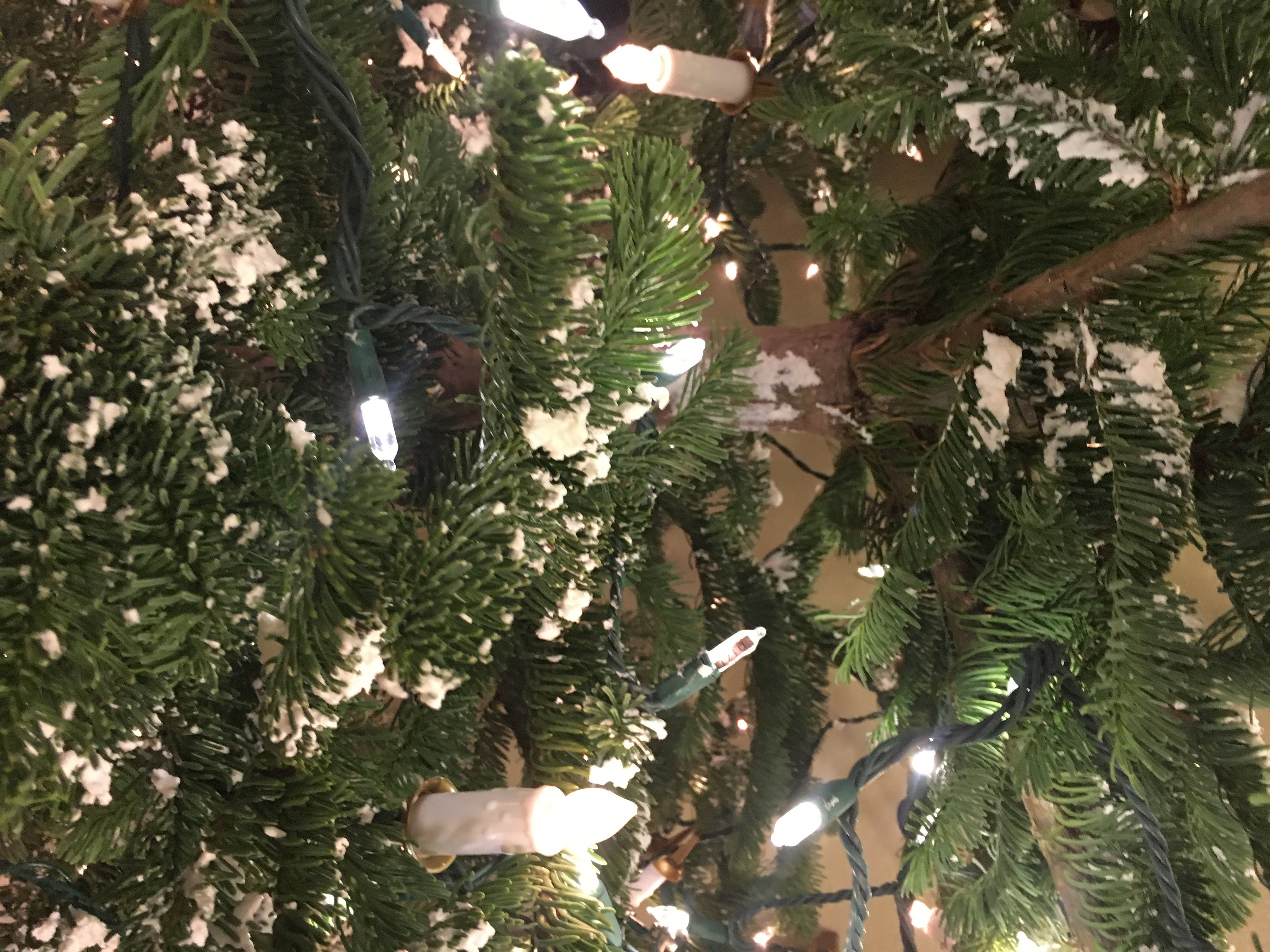 Snow Flocking Christmas Tree's 4 Steps (with Pictures) Instructables