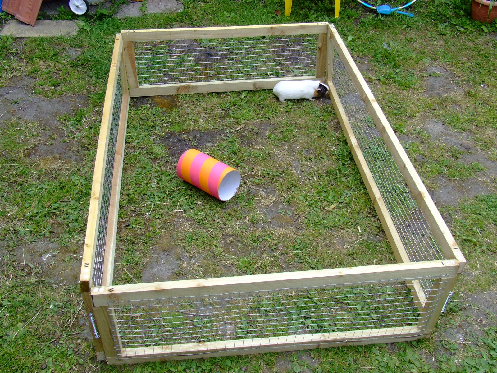 Simple, Cheap Guinea Pig Run 5 Steps Instructables