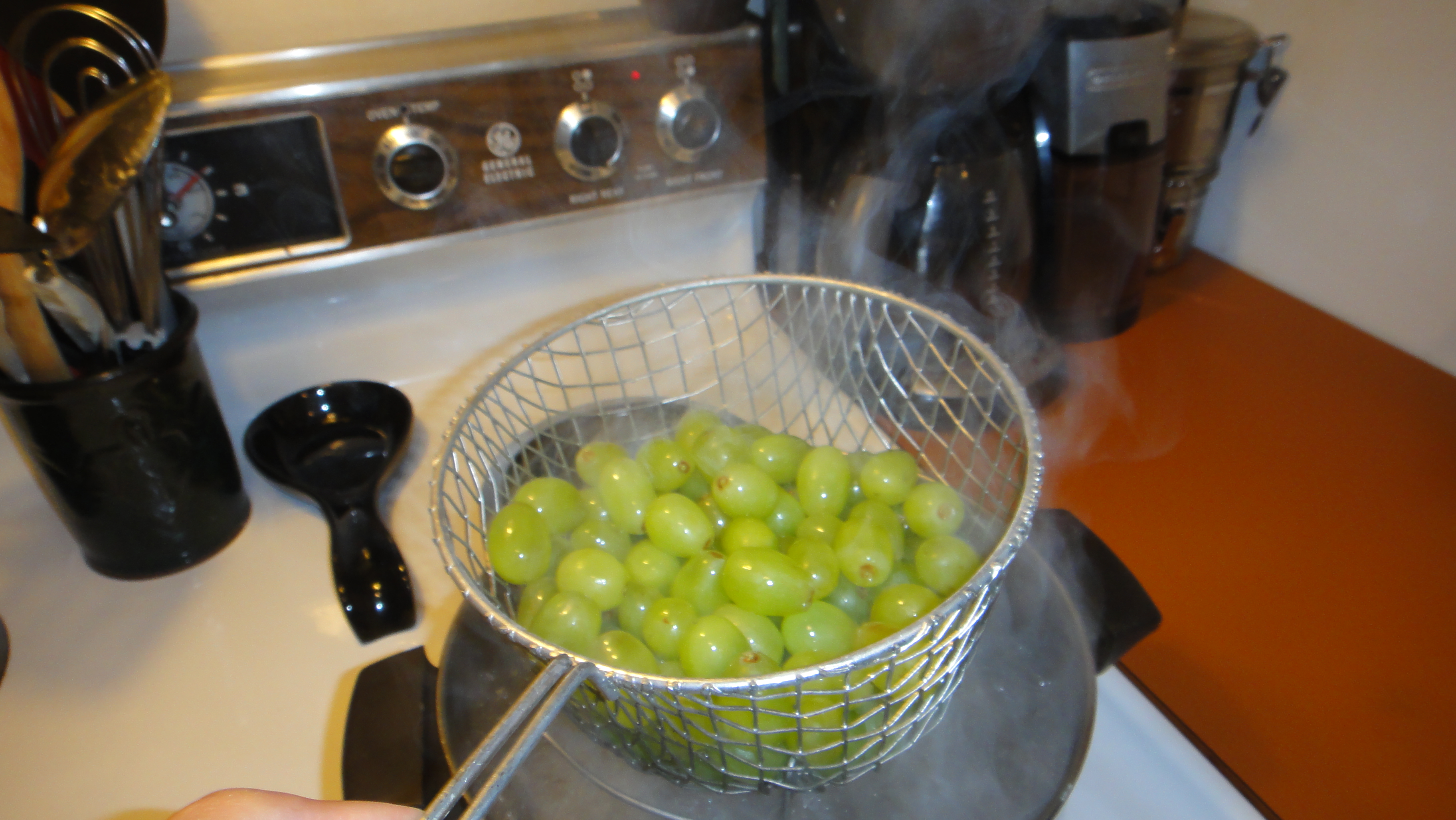 Make Raisins With a Dehydrator 4 Steps (with Pictures) Instructables
