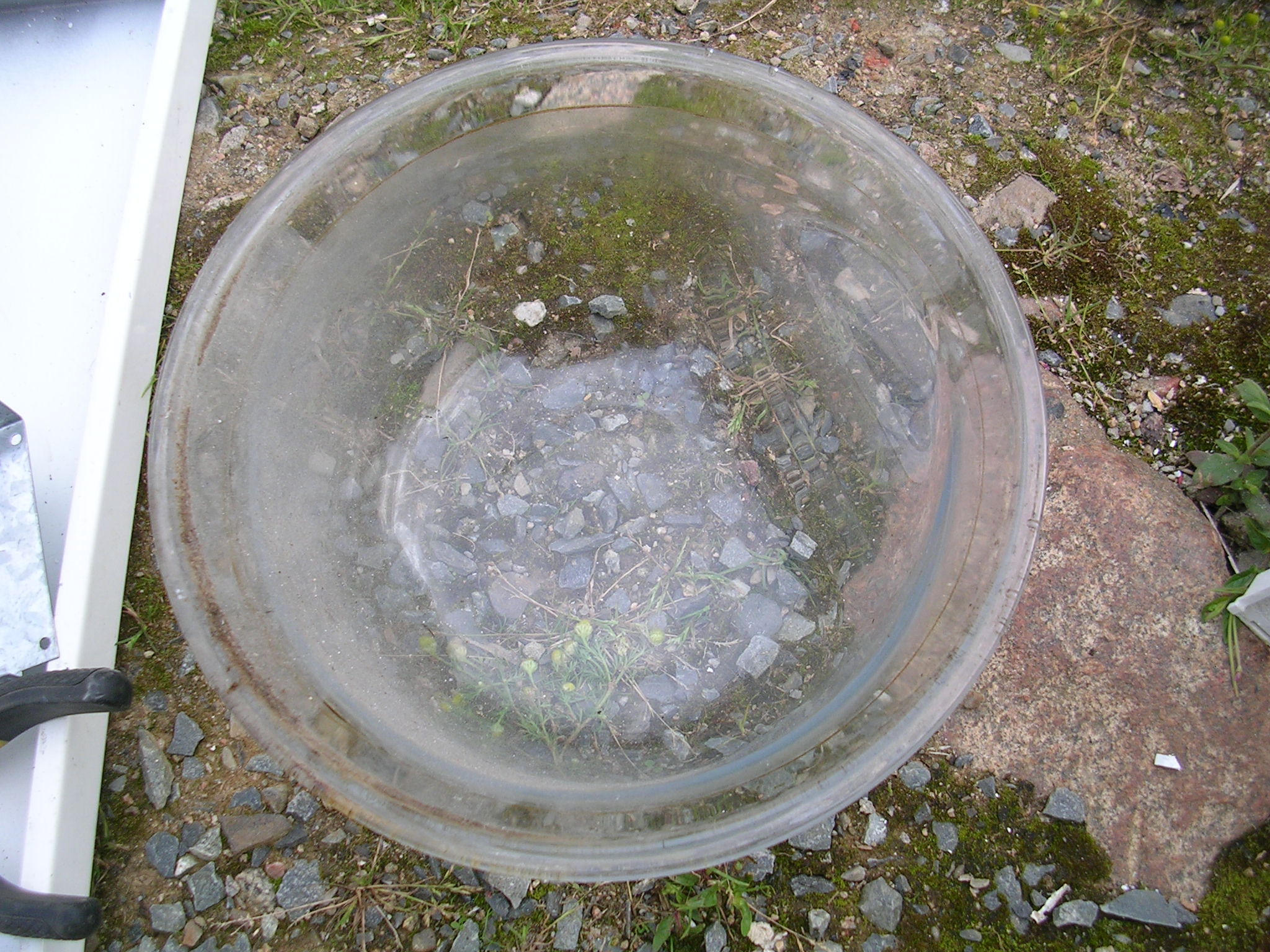 Is a Junk Washing Machine Really Junk? Usefull Materials for Cool Home