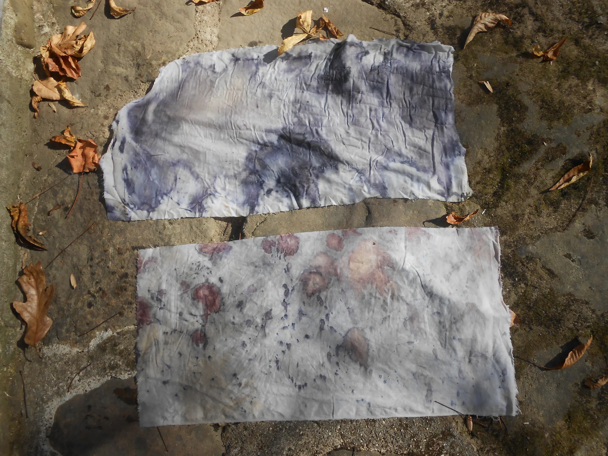 EcoPrinting With Rust & Vinegar 6 Steps (with Pictures) Instructables