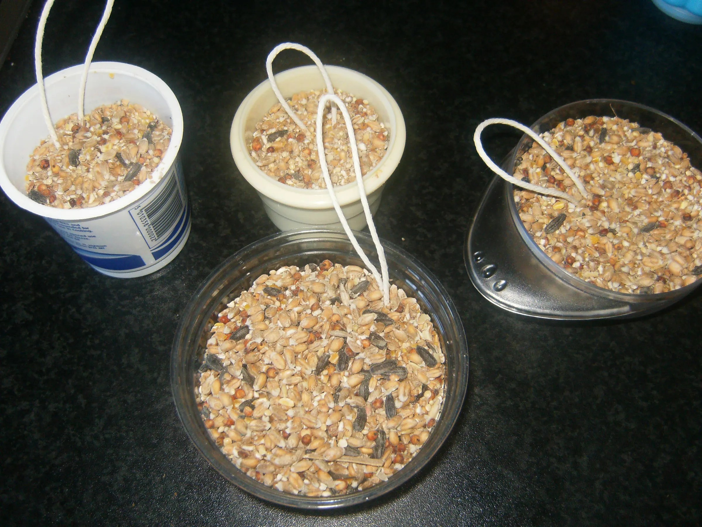 How to Make Fat Ball Bird Feeders 4 Steps (with Pictures) Instructables