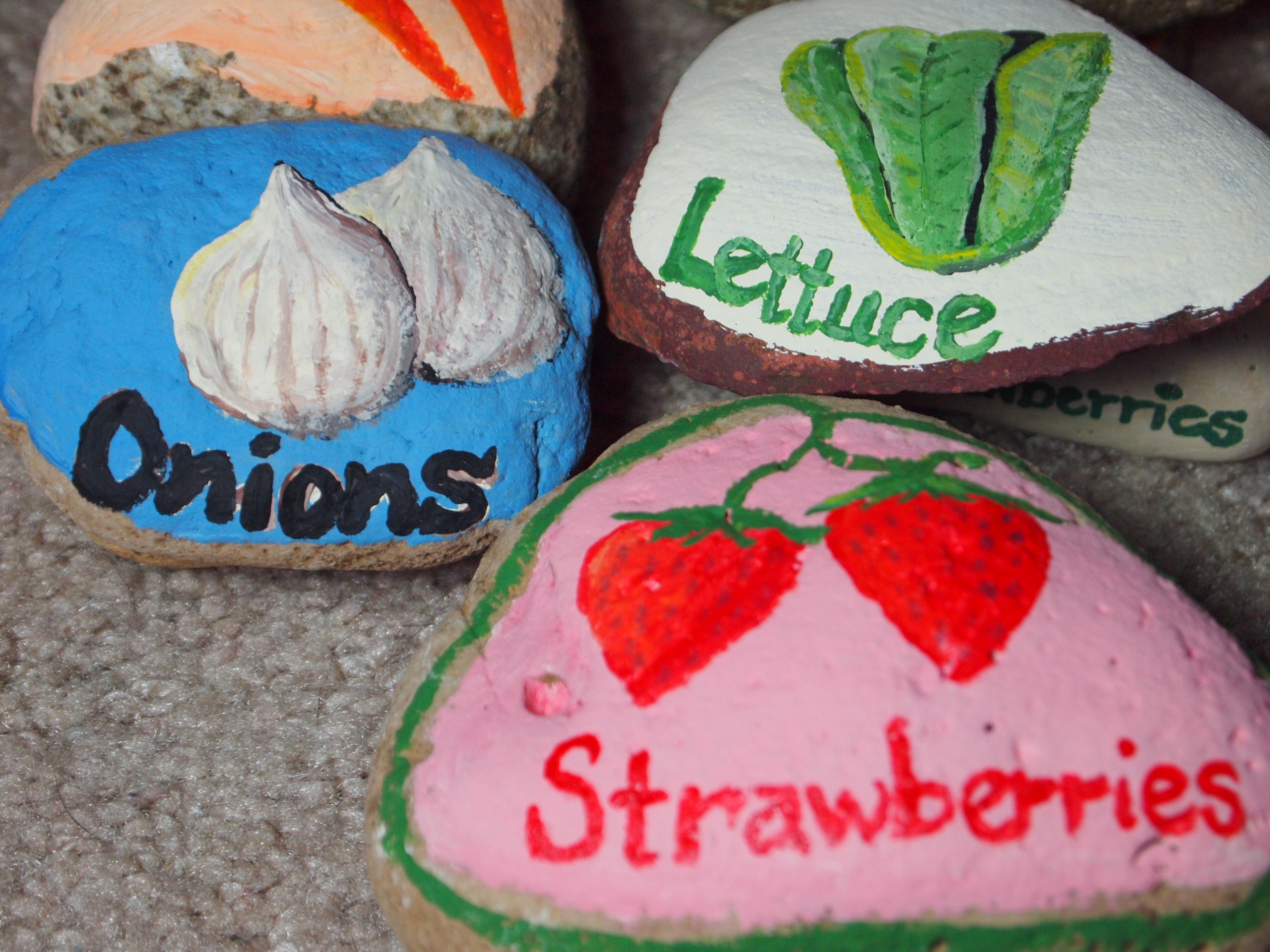 Painted Rock Garden Markers Instructables