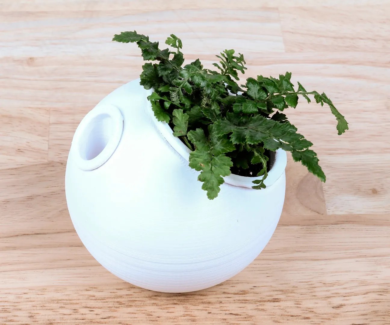 3D Printed SelfWatering Planter 4 Steps (with Pictures) Instructables