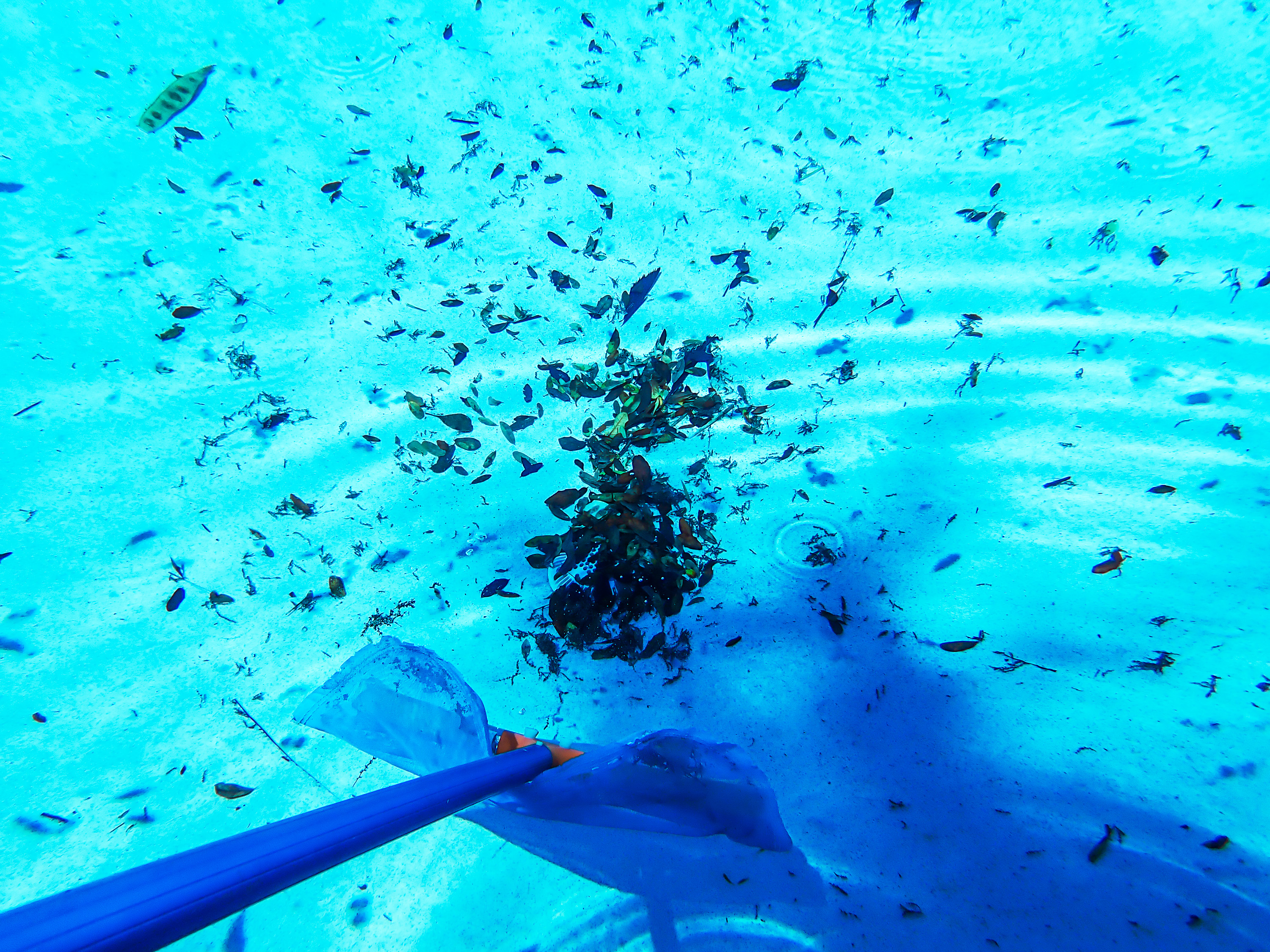 How to Clean a Pool Cartridge Filter System 15 Steps (with Pictures