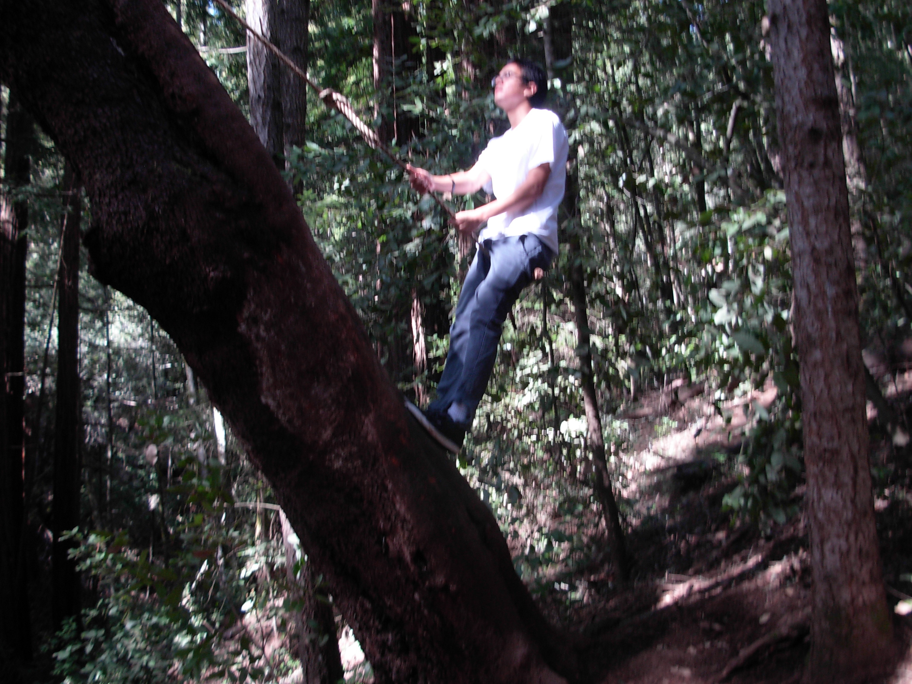 How to Make a Rope Swing 9 Steps Instructables