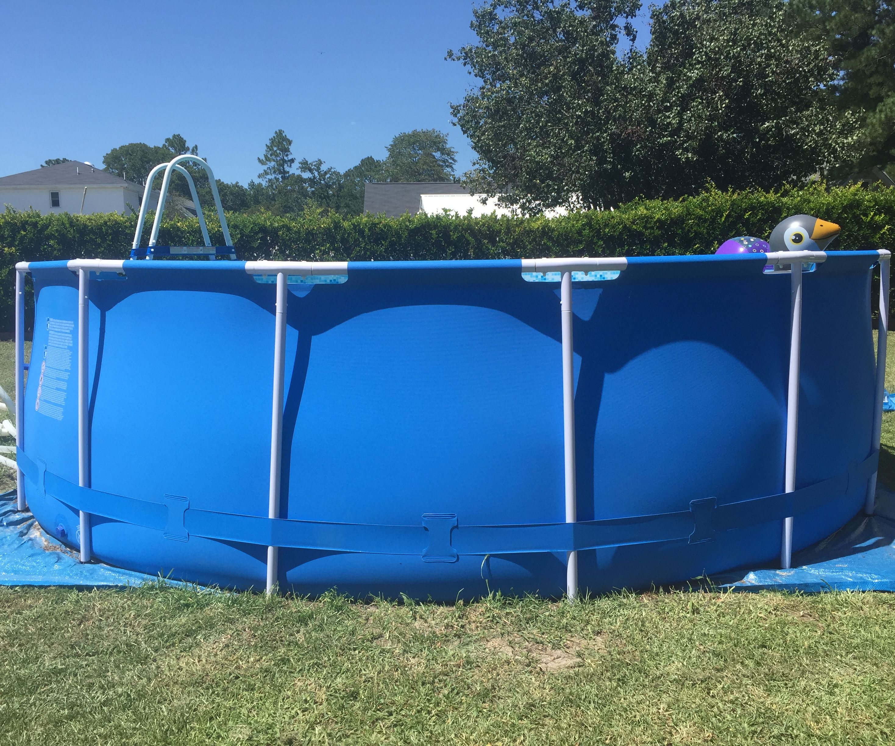 23+ Best Way To Get Dirt Out Of Above Ground Pool derekmsimmonss