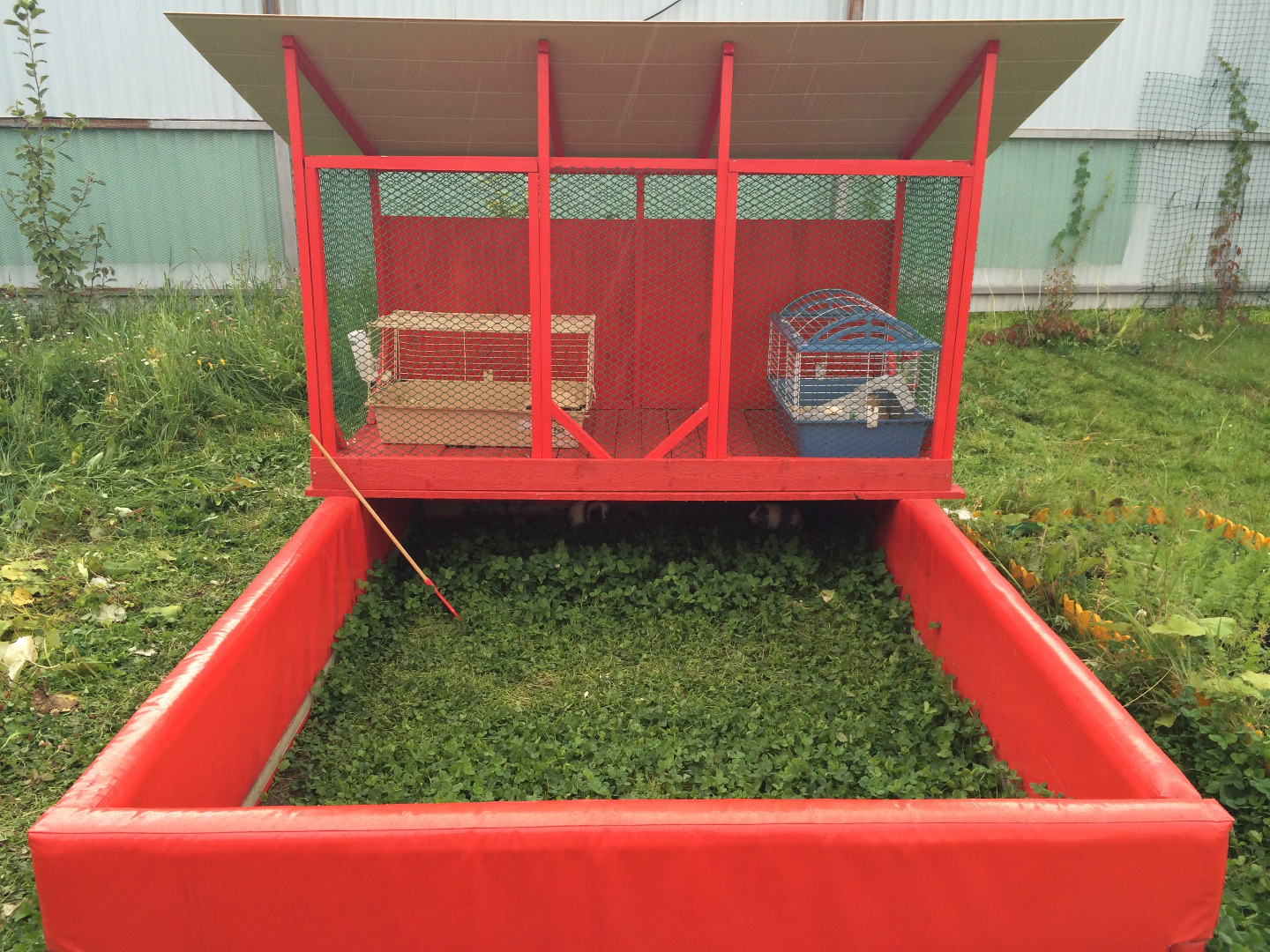 Guinea Pig Grand Hotel 14 Steps (with Pictures) Instructables