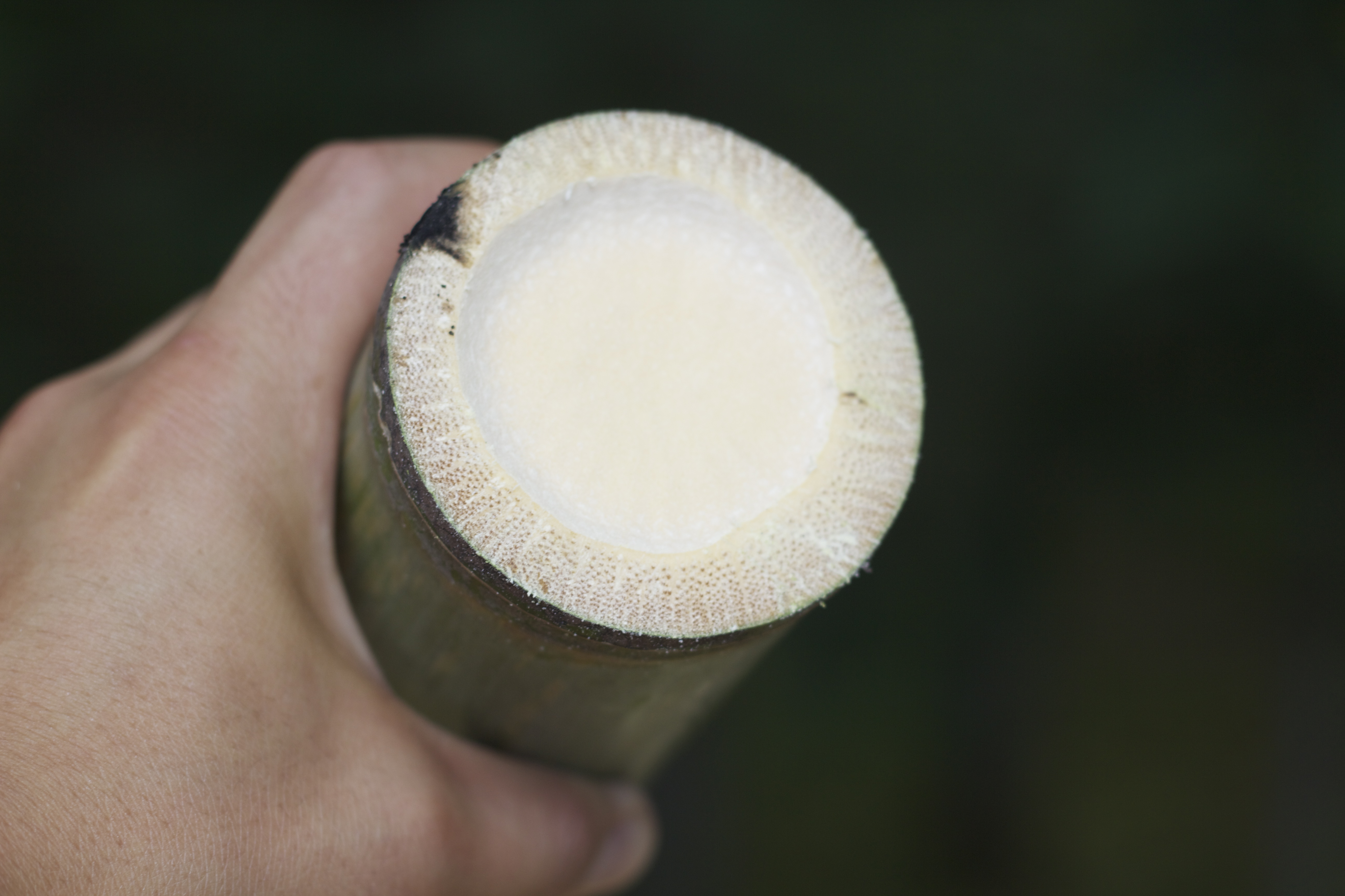 Clean, Chic Bamboo Cups 6 Steps (with Pictures) Instructables