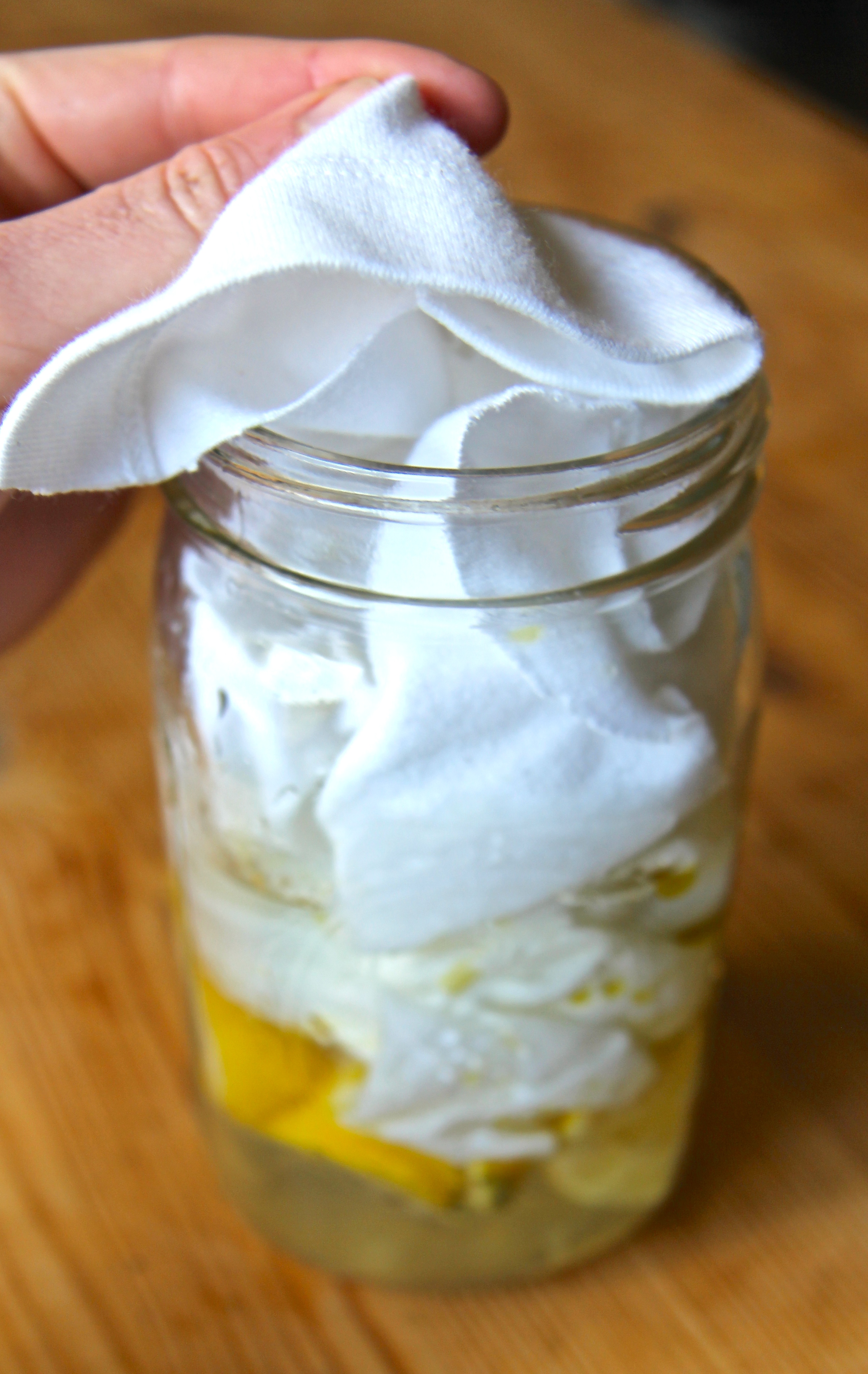 Natural Lemon Dusting Cloths 8 Steps (with Pictures) Instructables