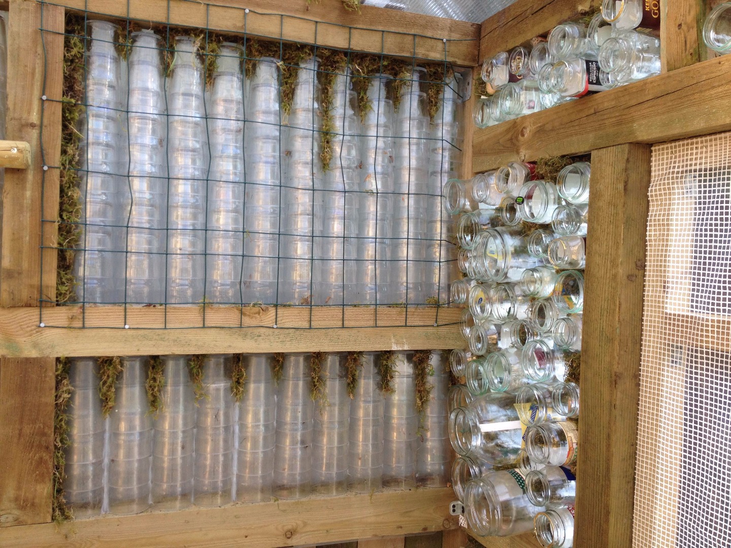 Glass Jar Greenhouse 5 Steps (with Pictures) Instructables