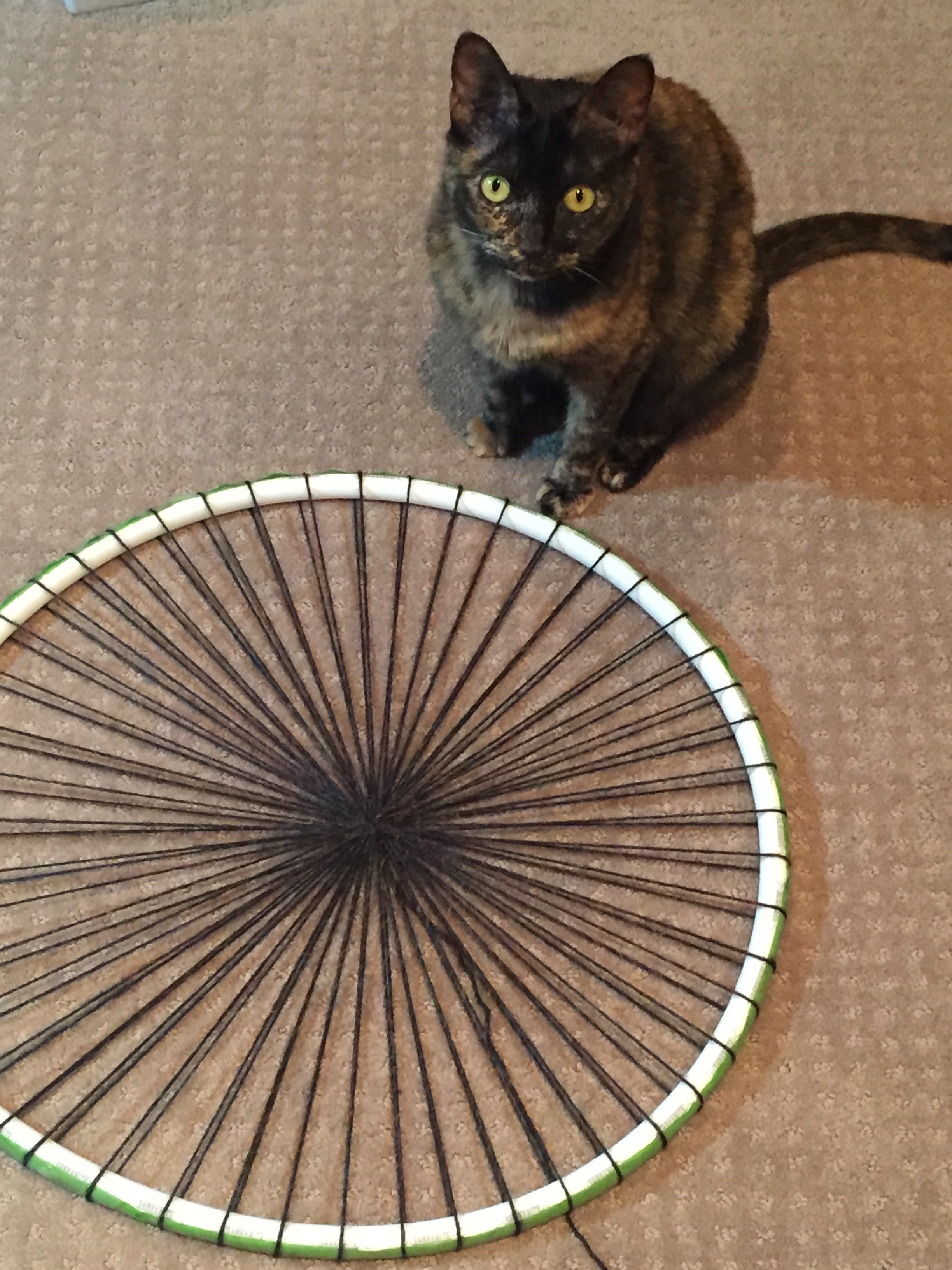 How to Make a Circular Loom From PVC Pipe 4 Steps Instructables