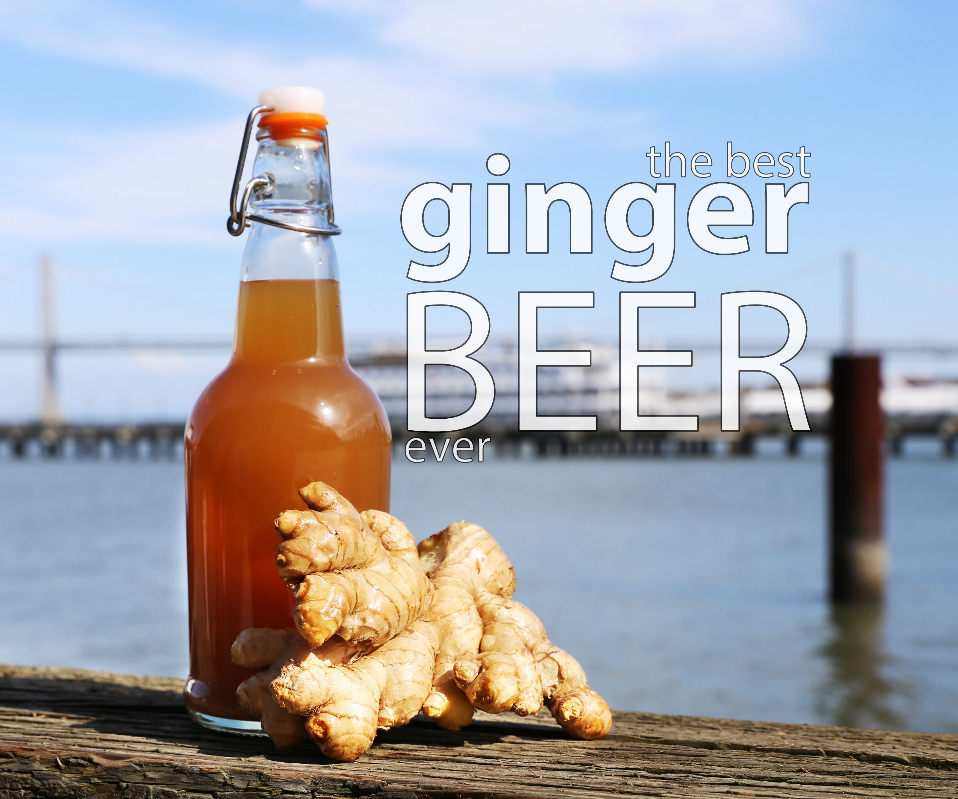 Best Ginger Beer 7 Steps (with Pictures) Instructables
