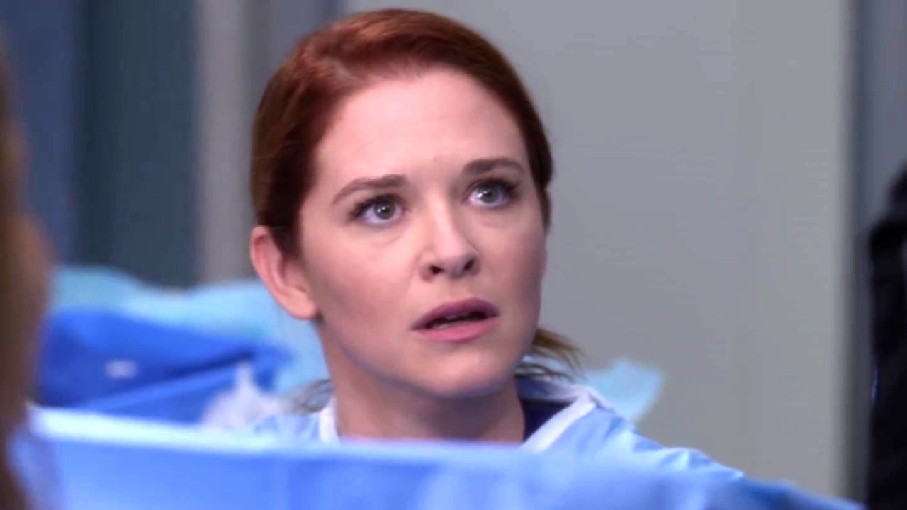 10 Times Izzie Stevens Was the Worst on Grey's Anatomy TV Guide