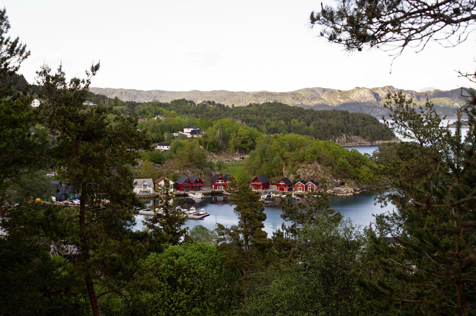 In Norway, municipalities take back control of care homes Investigate