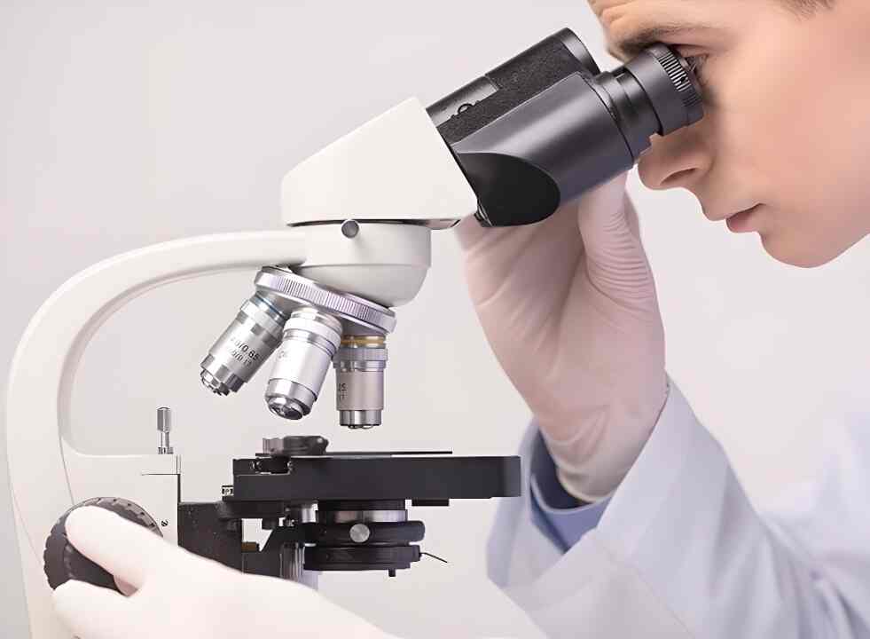 Top 100 Pet Care Takers in Bangalore Best Dog Care Takers Justdial