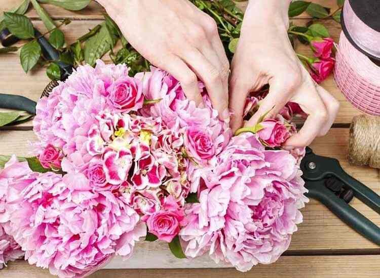 Top Flower Shops in Panchkula Best Flower Dealers Chandigarh Justdial