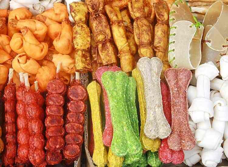 Msv Pets in Om Sakthi Nagar,Coimbatore Best Pet Shops in Coimbatore