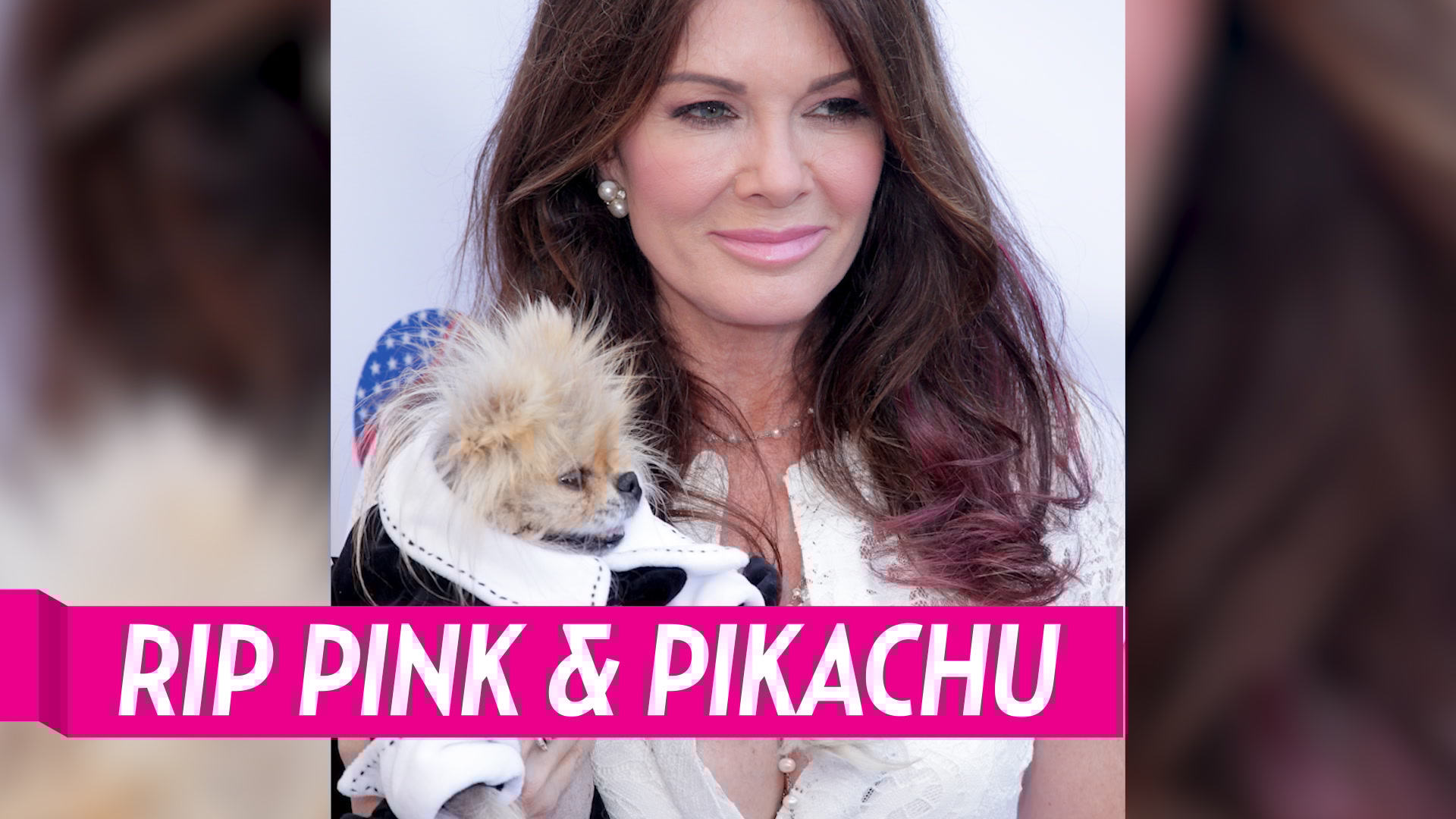 What Happened To Lisa Vanderpumps Pink Dog