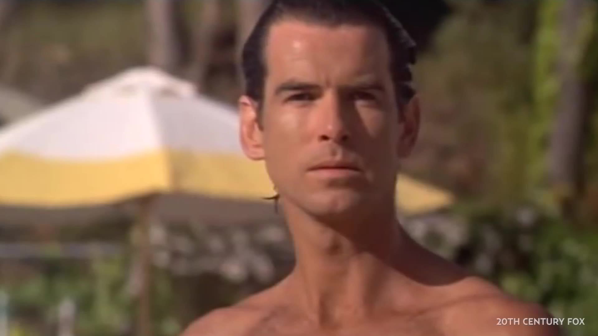 Pierce Brosnan Mrs Doubtfire