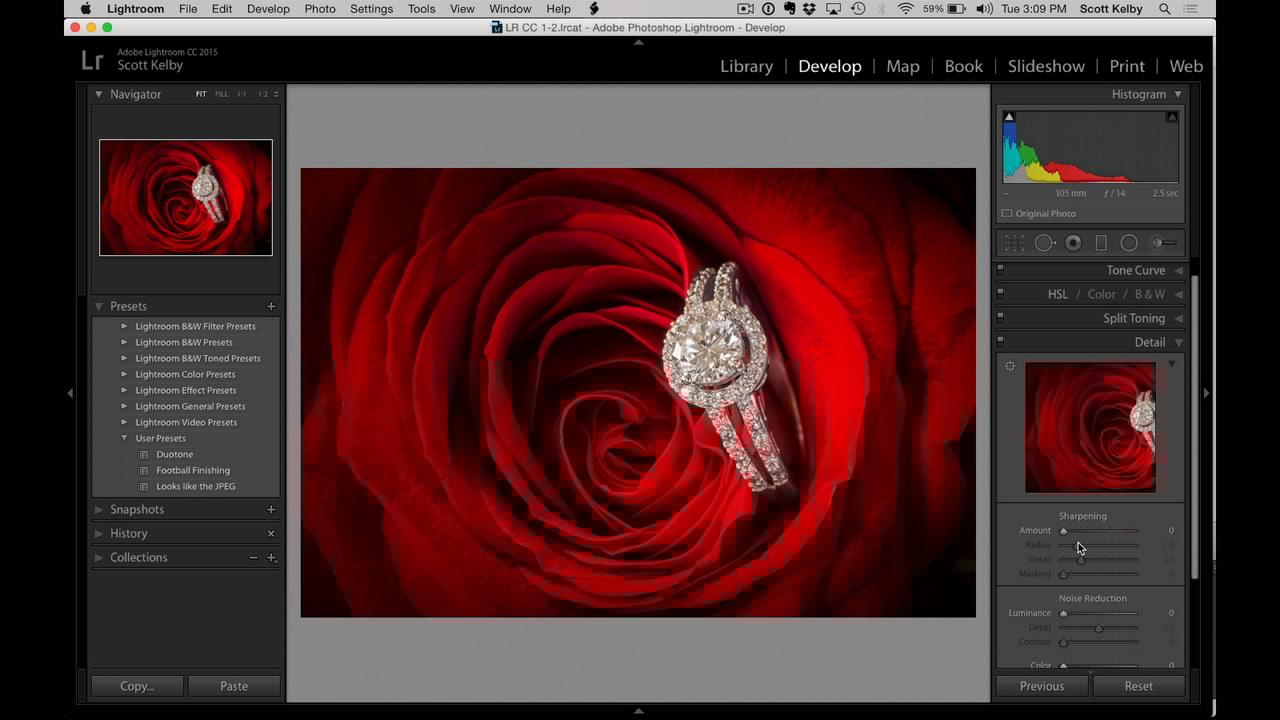 Detail Panel Sharpening in Lightroom Quick Tutorial