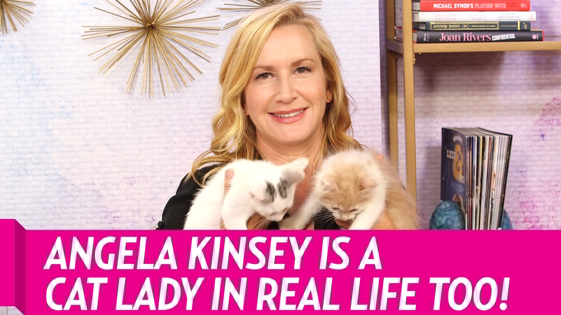 The Office Angela Cat Names