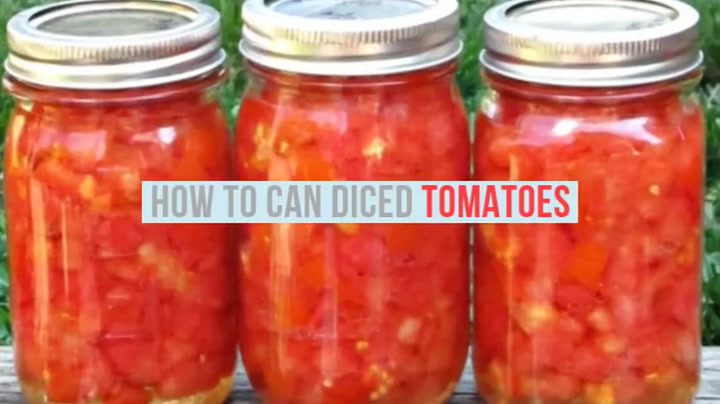 Ball Recipe For Canning Diced Tomatoes Image Of Food Recipe