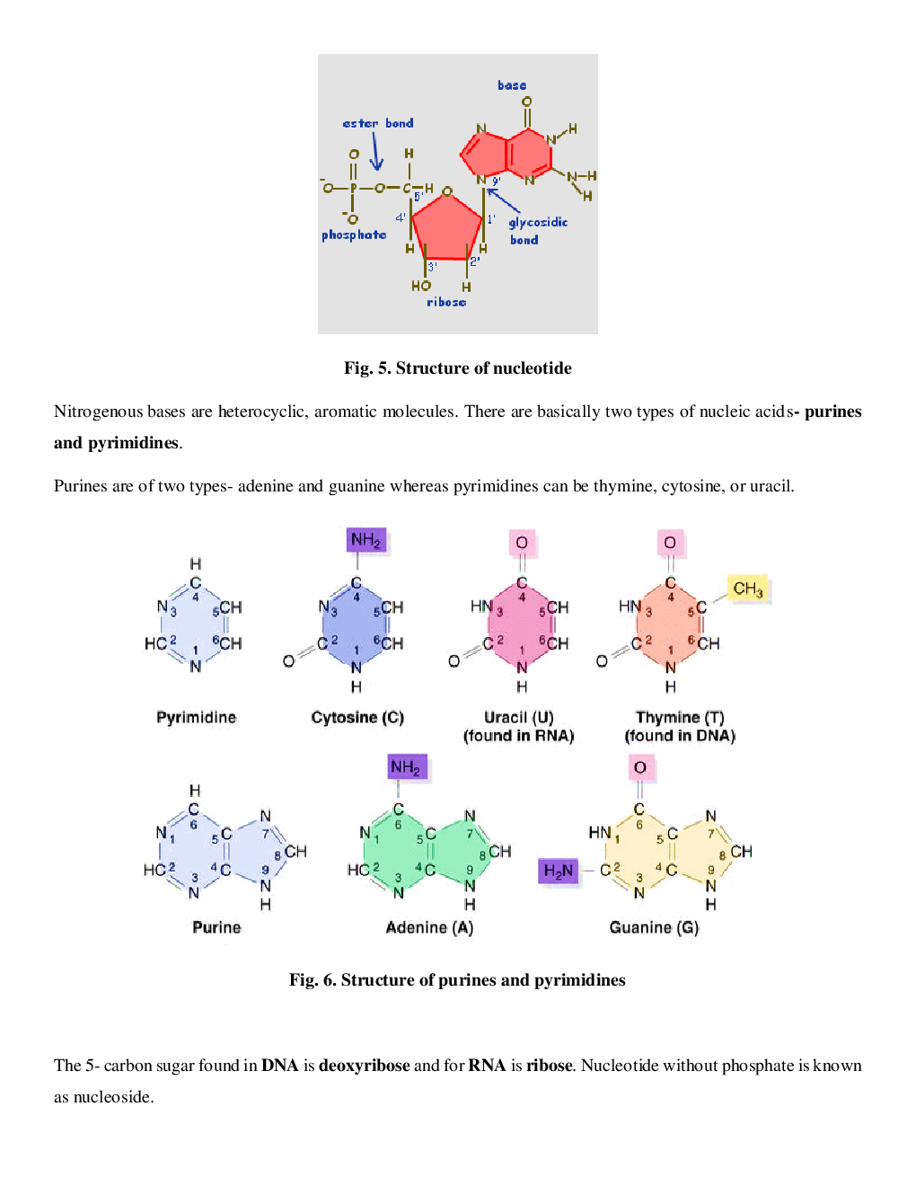 Download CBSE Class11 Biology Revision Notes For Biomolecules PDF Online