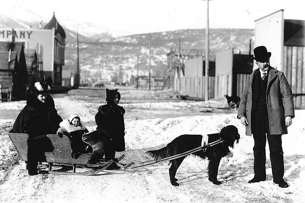 Klondike Gold Rush Sled Dogs