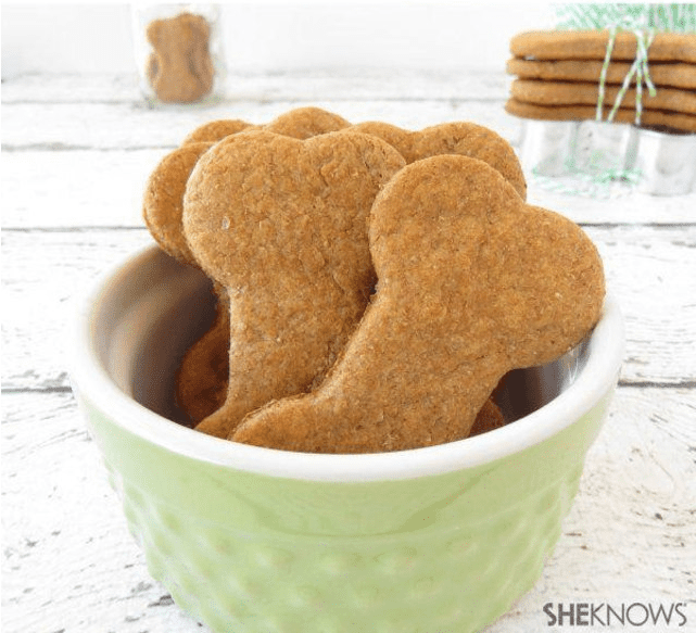 5 Delicious DIY Homemade Dog Treats • Moola