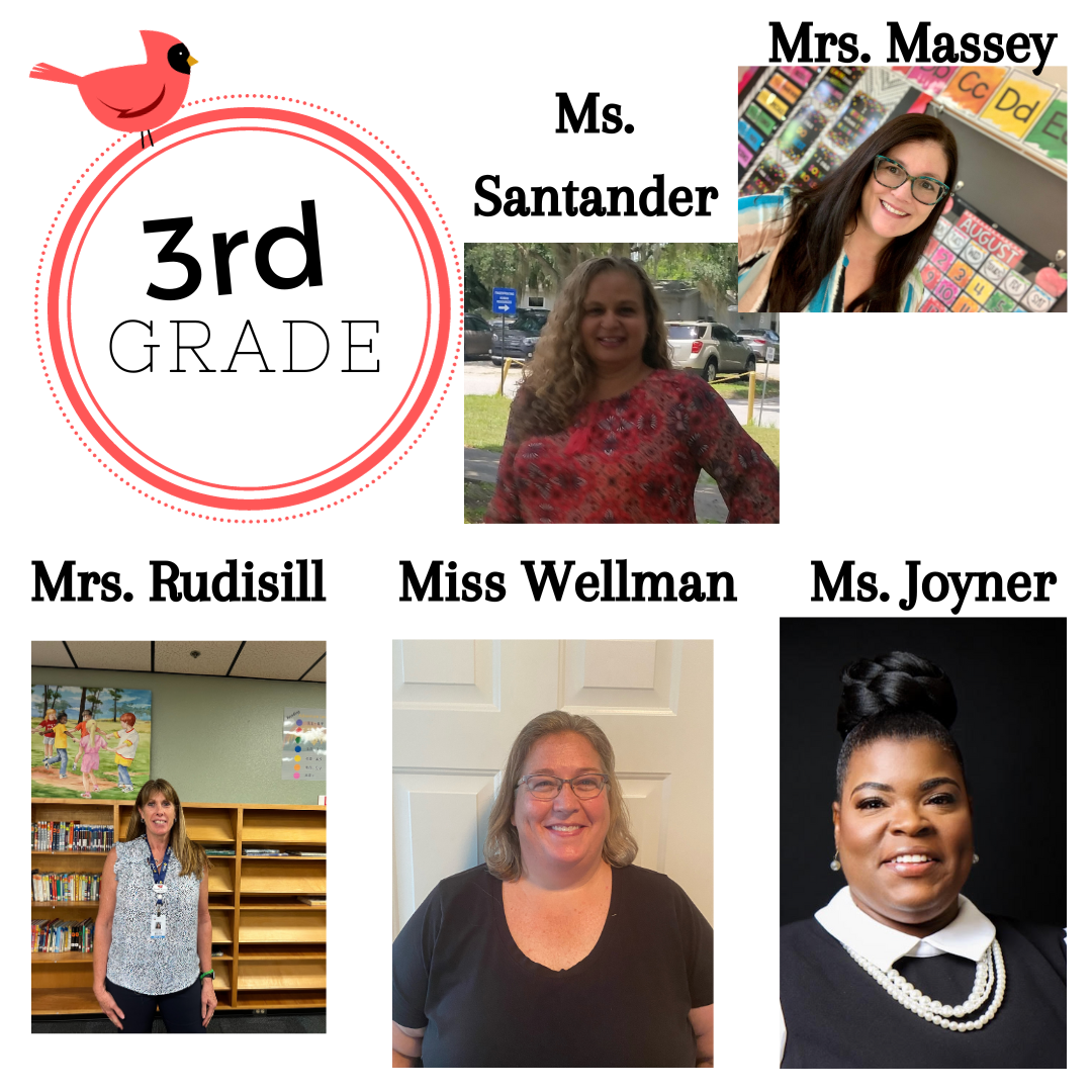 Library & Curriculum