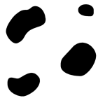 Black And White Cow Spot Background Black And White Cow Spot
