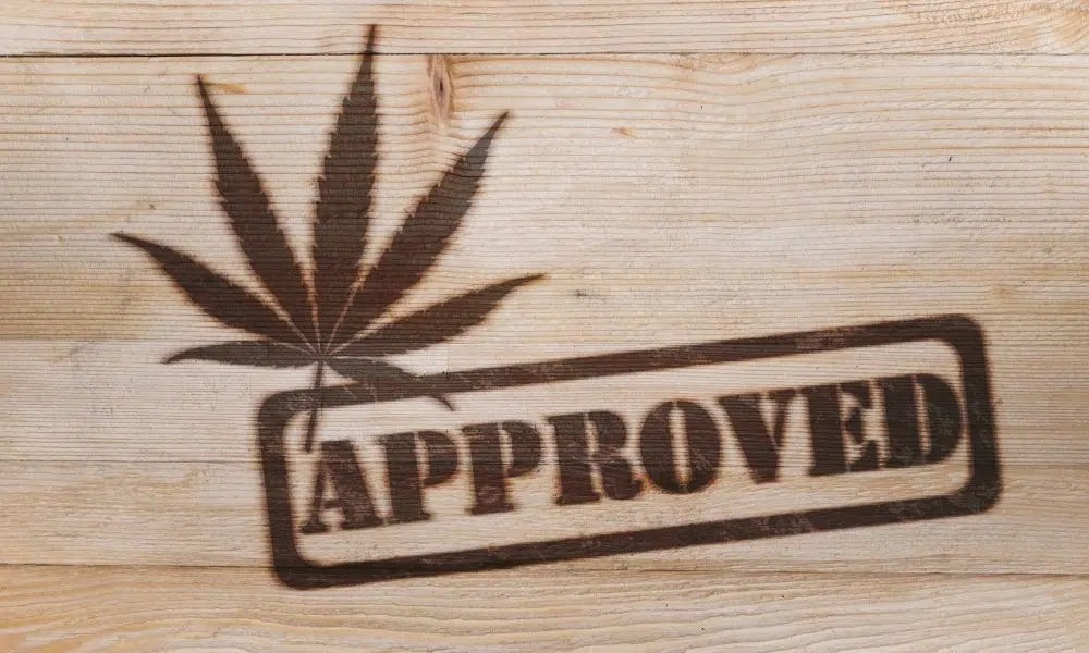 Weed Culture And How It Has Changed Over Time Haven