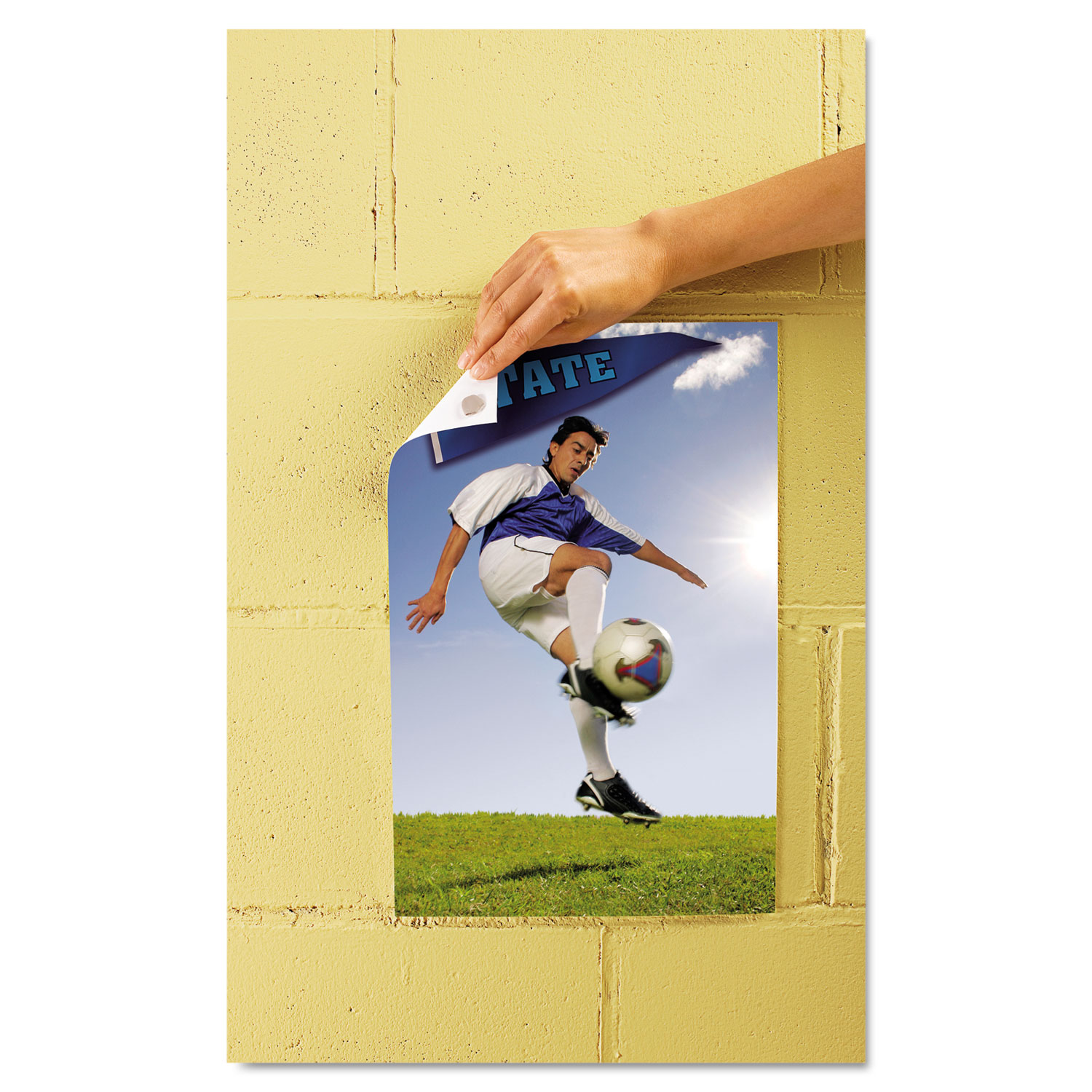 Scotch® Adhesive Putty, Removable, 2 oz Coastal Sanitary Supply Co.