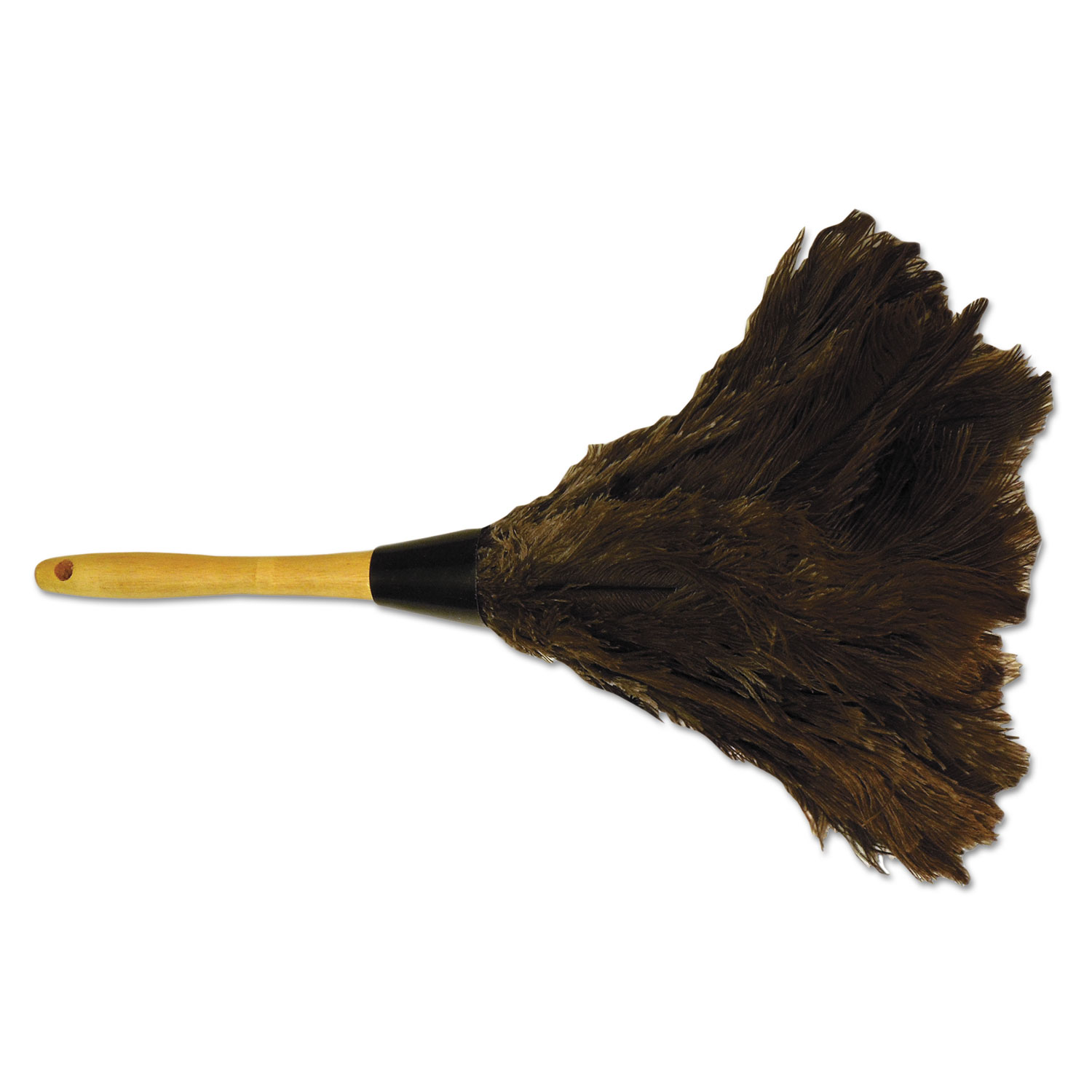 Professional Ostrich Feather Duster, Gray, 14" Length, 6" Handle Zuma