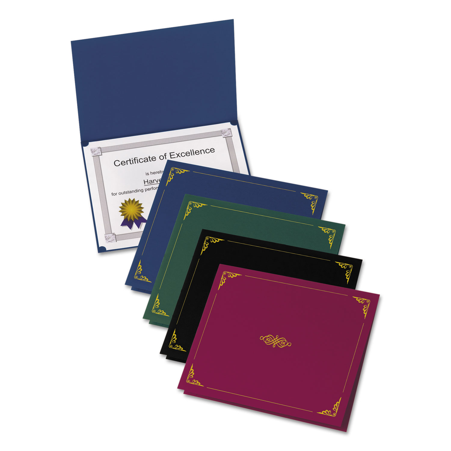 View Certificate Holder and other Document Holders