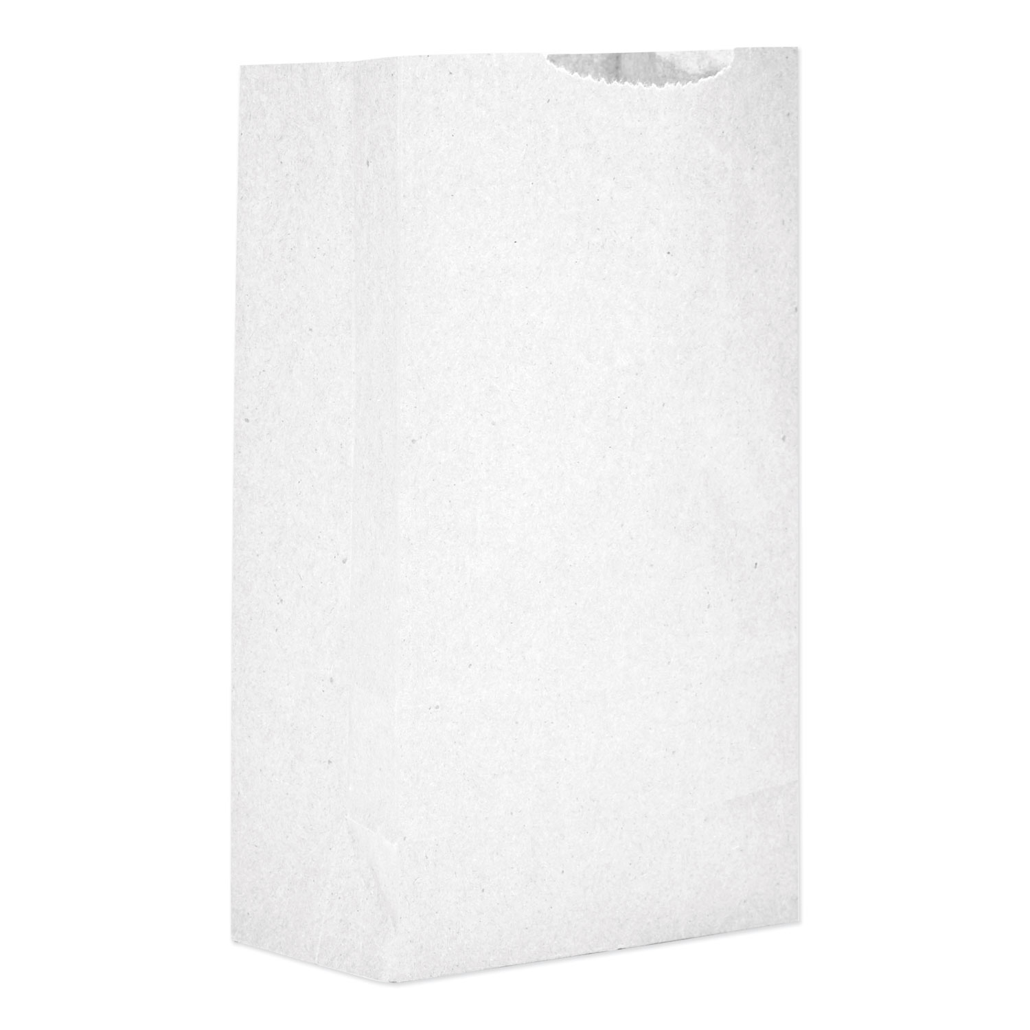 2 White Paper Bags, 500/Bundle