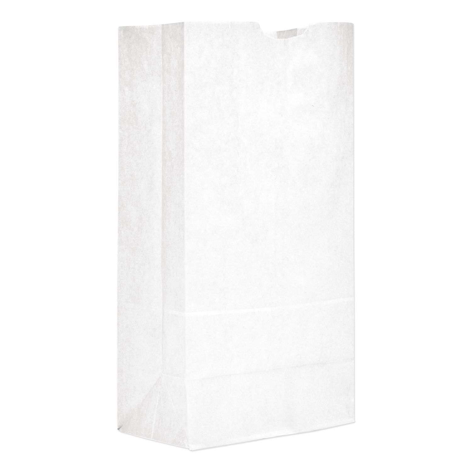 25 White Paper Bags, 500/Bundle
