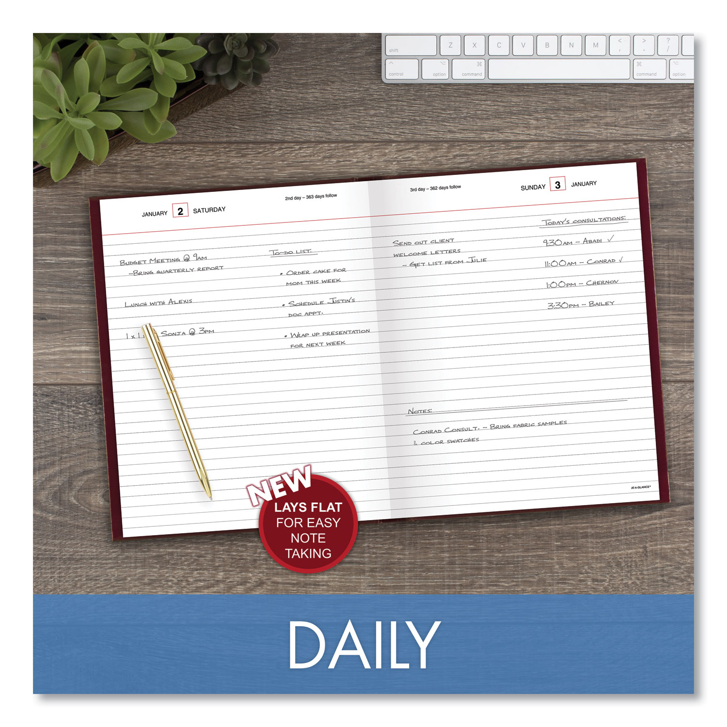 AAGSD37413 AtAGlance Standard Diary Daily Diary Zuma
