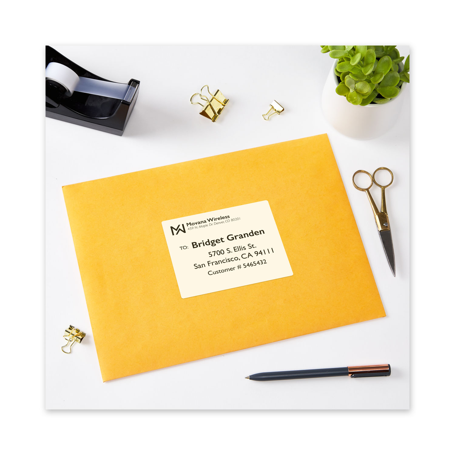 Waterproof Shipping Labels with TrueBlock and Sure Feed, Laser Printers