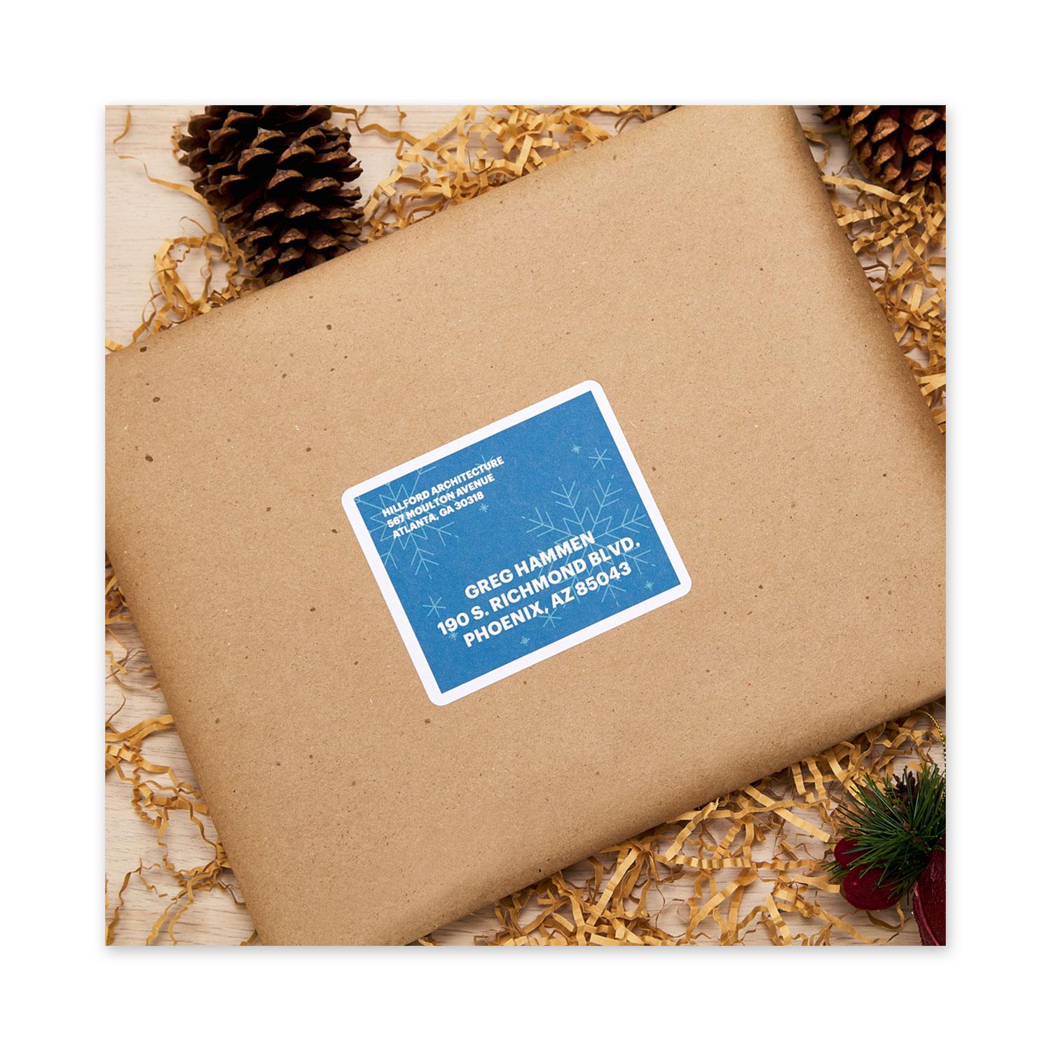 Waterproof Shipping Labels with TrueBlock and Sure Feed, Laser Printers