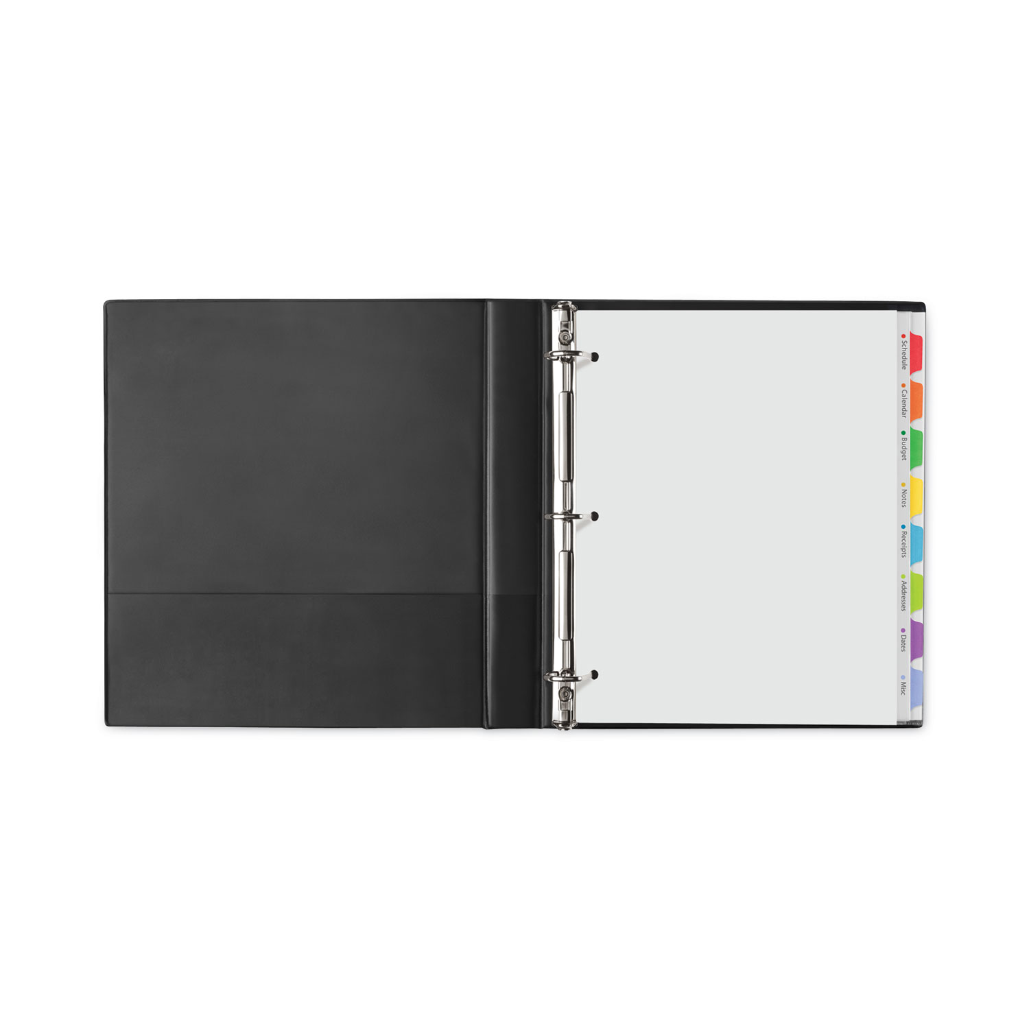 Clear Easy View Plastic Dividers with Multicolored Tabs and Sheet