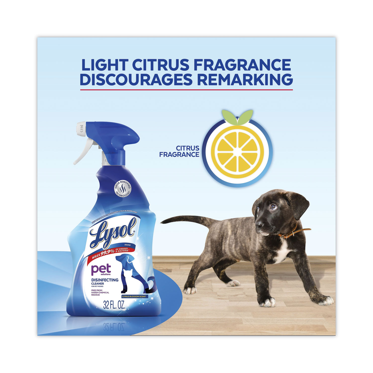 LYSOL® Brand Pet Solutions Disinfecting Cleaner, Citrus Blossom, 32 oz