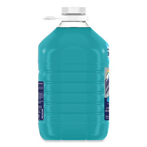 AllPurpose Cleaner, Ocean Cool Scent, 1 gal Bottle
