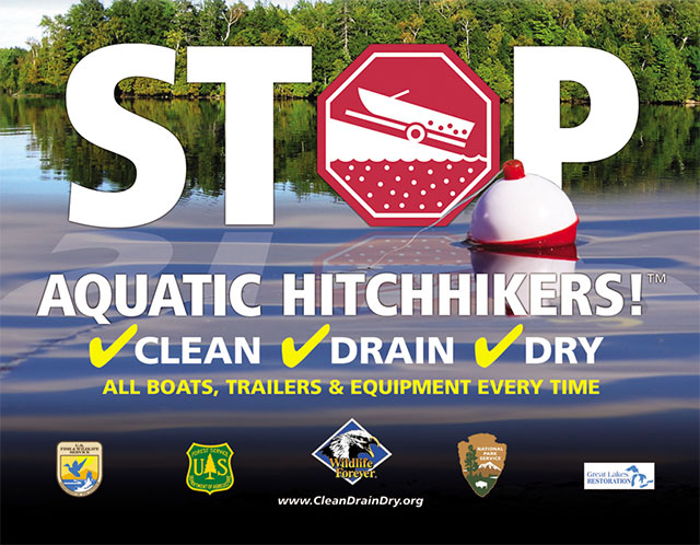 Angler Efforts Still Vital To Stem The Spread Of Invasive Sp - Game & Fish