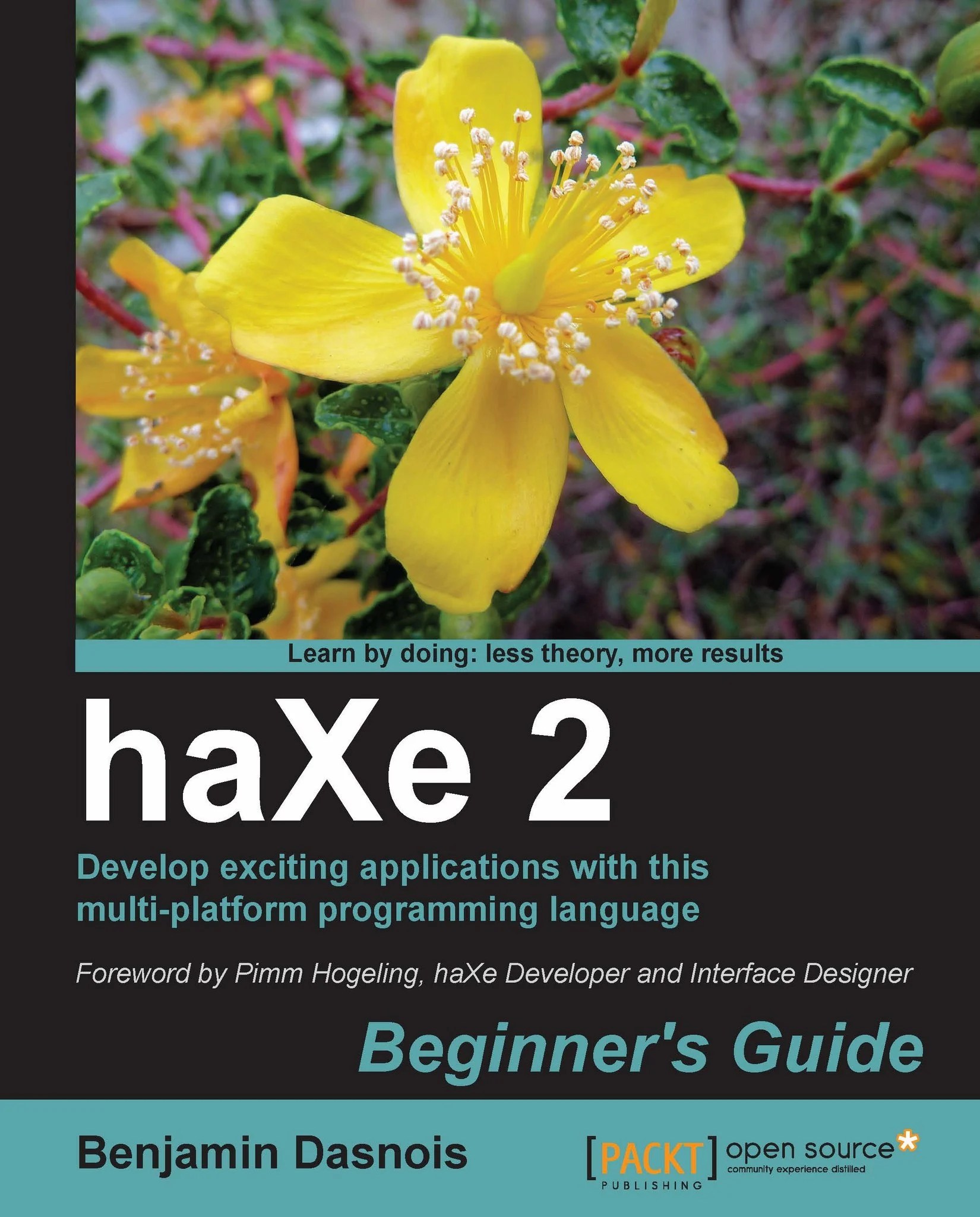 haXe 2 Beginner's Guide ebook  Development