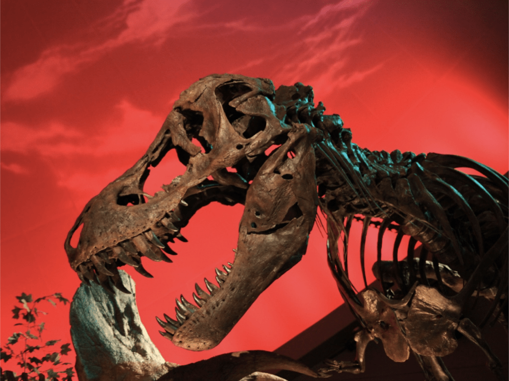 T. rex gets a protein shakeup prehistoric collagen identified as